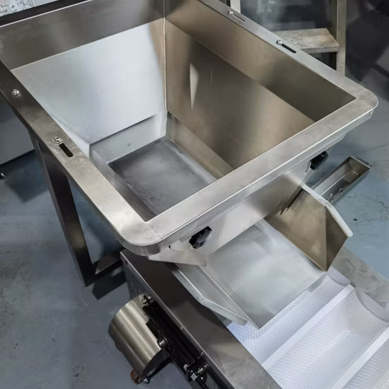 Entièrement Sac Remplissage Automatique Vertical Multi